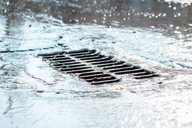 Sewer Service in Longmont, CO